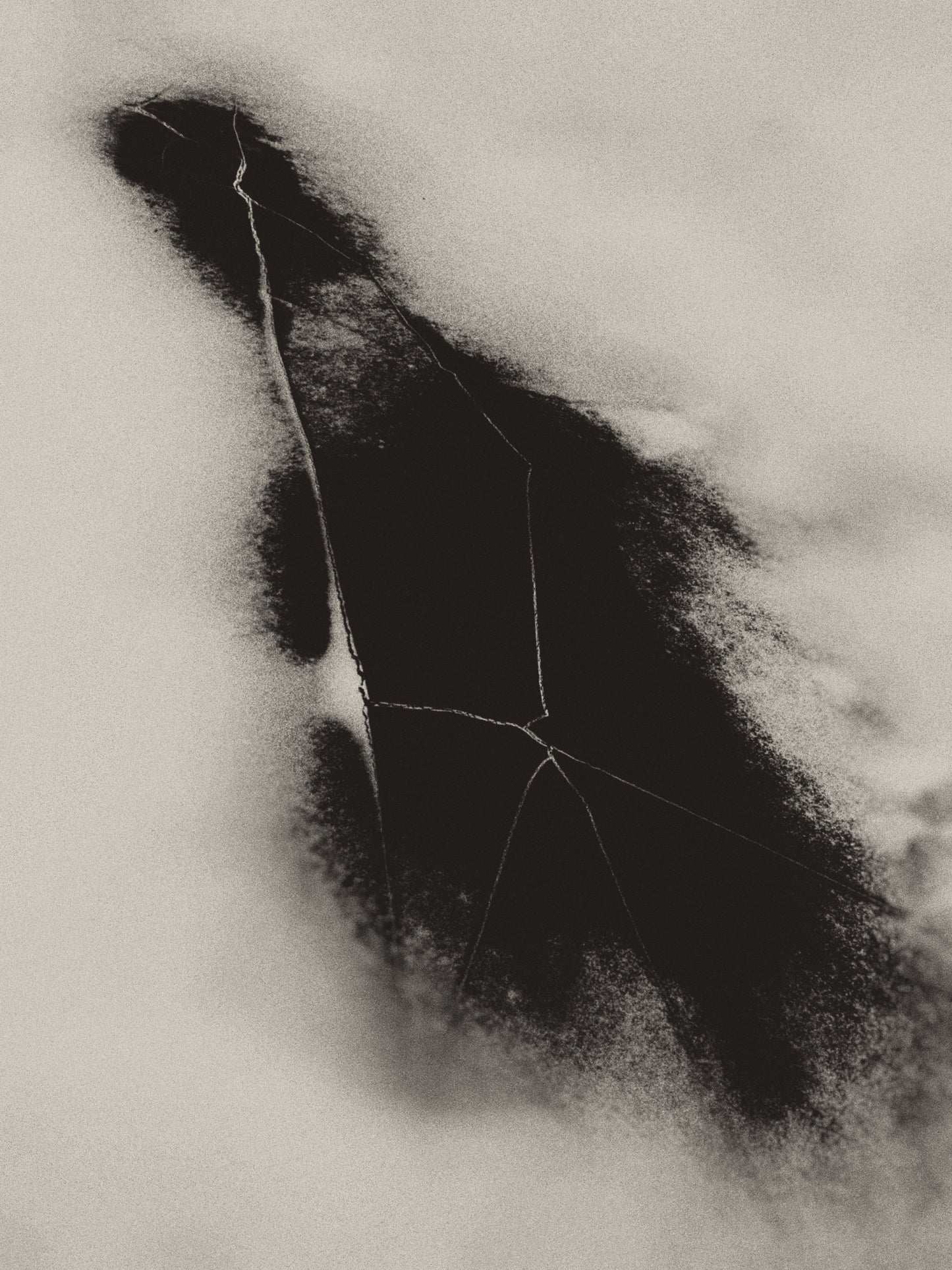 candinavian-abstract-print signerad-cyanotypi-fine-art