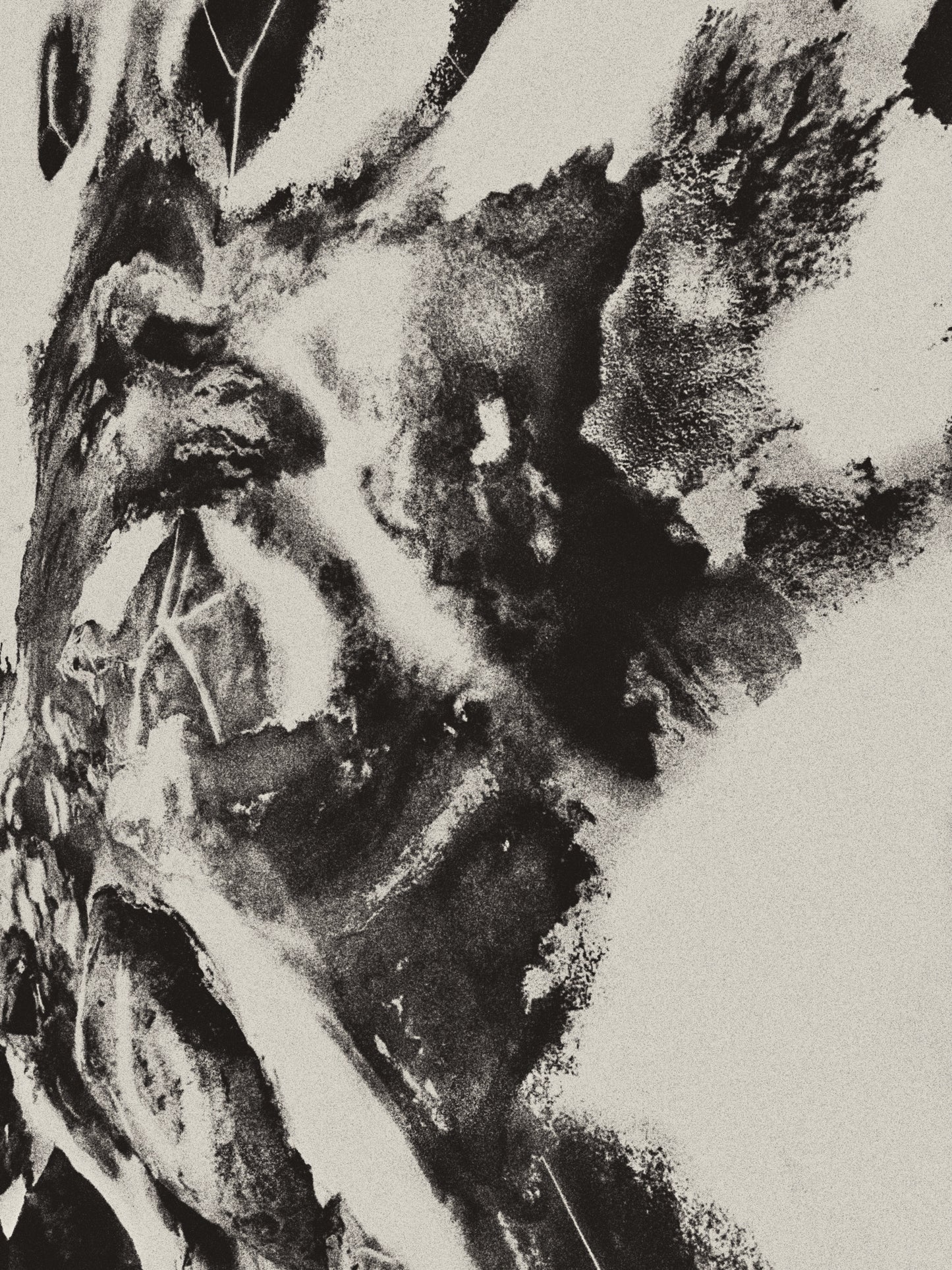 candinavian-abstract-print signerad-cyanotypi-fine-art